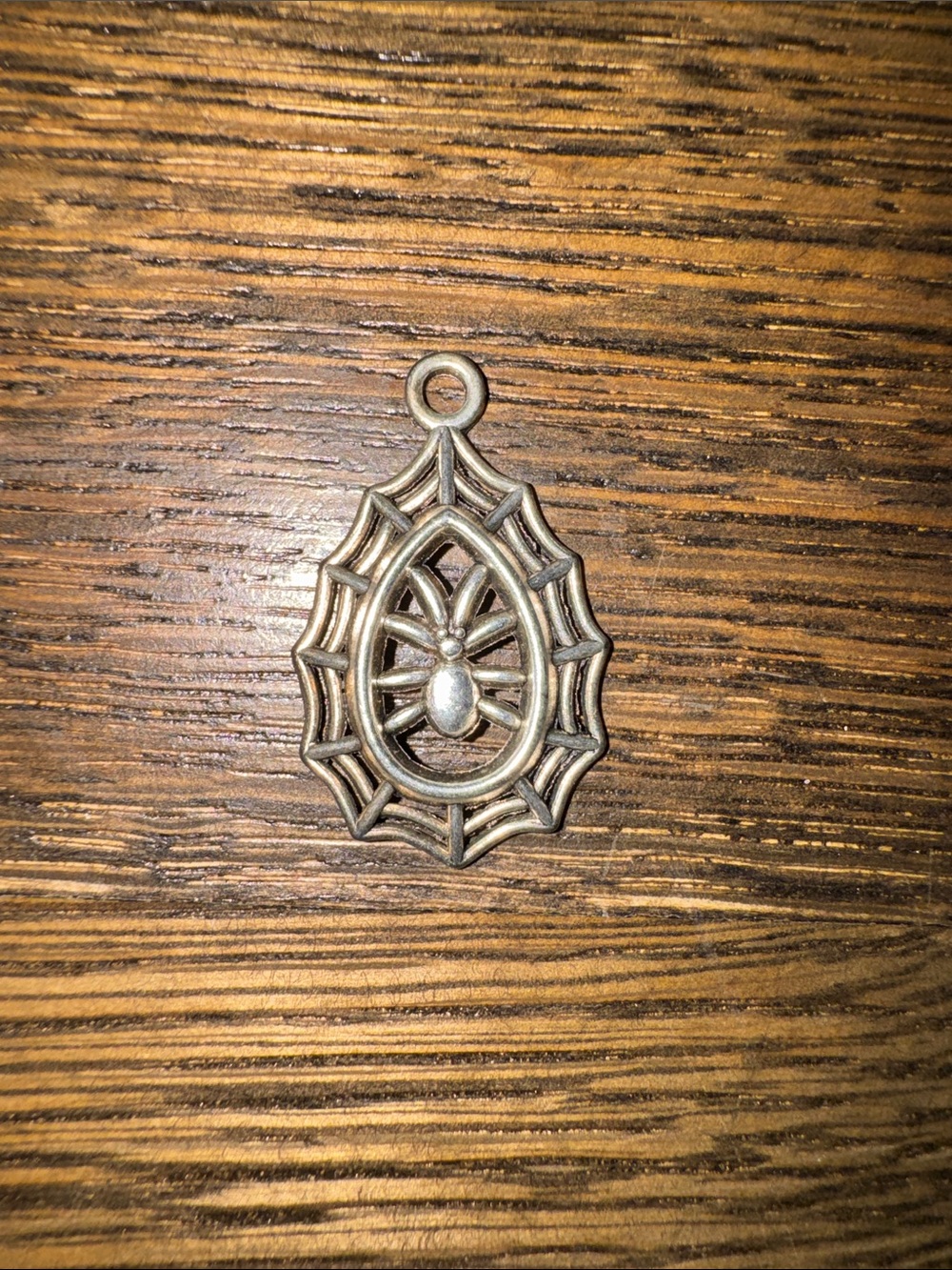 Spider Web Pendant Charm in Antique Silver